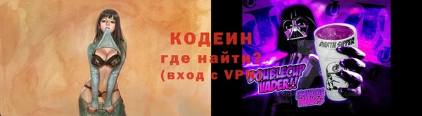 гидра Богородицк
