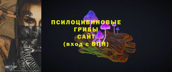 ешки Богданович