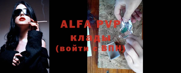 гидра Богородицк