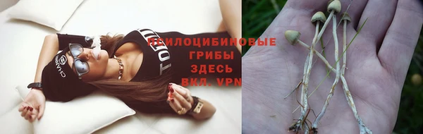 альфа пвп Снежногорск