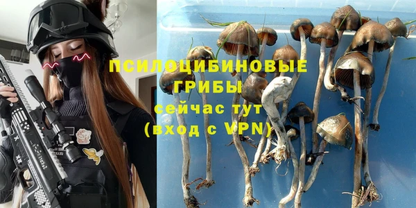 гидра Богородицк