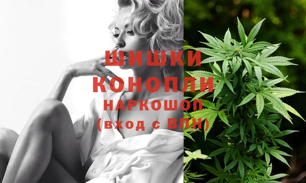 гидра Богородицк