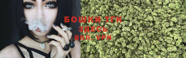 гидра Богородицк