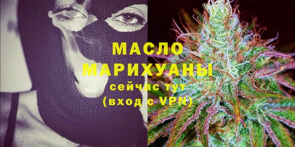 гидра Богородицк