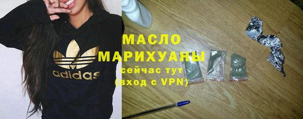 гидра Богородицк