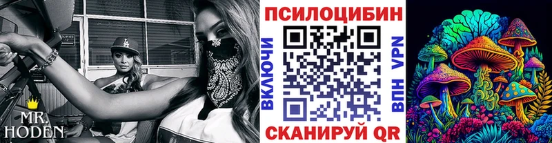 Псилоцибиновые грибы Psilocybe  Михайлов 